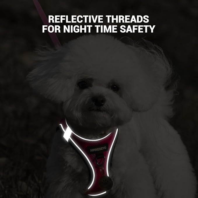 Dog Harness and Leash Set, Dog Harness for Dogs No Pull, No-Chock Step-in Reflective Breathable Lightweight Easy Walk Vest Harnesses with Safety Buckle for Small Medium Dogs, Cats (Rose red, XL)
