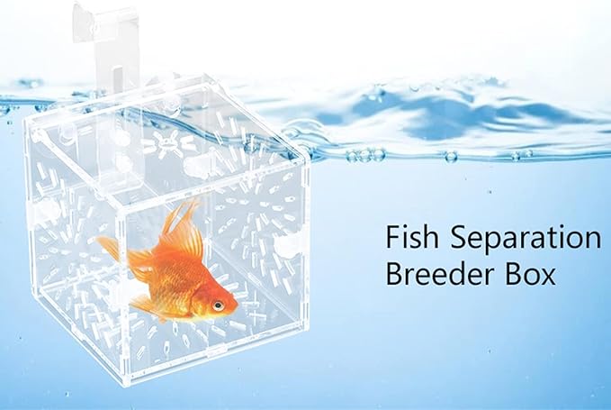 Fish Separation Box, Acrylic Transparent Fish Tank Breeding Isolation Box Aquarium Hatchery Incubator Holder(10CM*10CM*10CM)