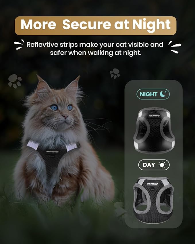 FAYOGOO Cat Harness, Cat Leash and Harness Set for Walking Escape Proof, Harness for Small Cats/Small Dogs, Large Kitten/Puppy Harness and Leash, Harness for Cats S-XXL(Black, XX-Large)