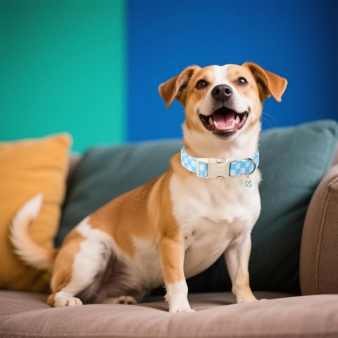 DOGWONG Blue Checkered Dog Collar, Blue Plaid Dog Collars, Adjustable Cute Boy Pet Collars Girl Design Dog Collar for Small Medium Large Dogs