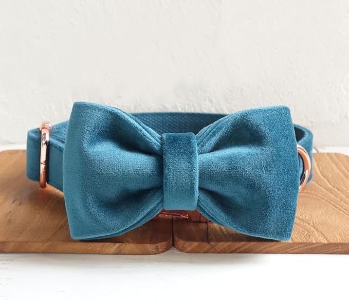 PETDURO Personalized Dog Collar Teal Soft Velvet for Large Medium Small Boy Girl Dogs - Custom Collar with Name Phone Number Engraved on Rose Gold Metal Buckle - Add Leash Bow Set via Customize Now