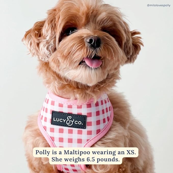 Lucy & Co. Cute Reversible Dog Harness Walking Halter - Best Designer Pet Harnesses for XS - XL Dogs - Padded Adjustable Vest for Easy Walking (Medium, Ballet Bows - White & Pink Bows)