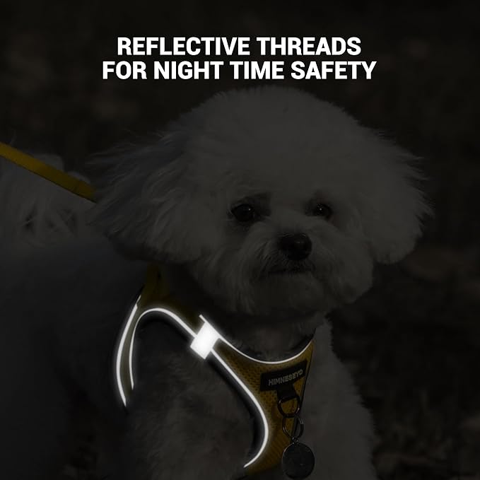 Dog Harness and Leash Set, Dog Harness for Dogs No Pull, No-Chock Step-in Reflective Breathable Lightweight Easy Walk Vest Harnesses with Safety Buckle for Small Medium Dogs, Cats (Yellow, XL)