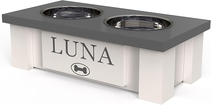 GTW Personalized Elevated Dog Bowl Stand for Large, Medium, Small, X-Small Dogs - Stainless Steel Food and Water Bowls - Raised Dog Dish with Internal Storage (X-Small, Grey)