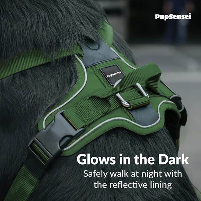 No Pull Dog Harness - Durable Polyester Puppy Harness with Front Anti-Pull Loop, Reflective Strips, and Quick-Release Clips for Small, Medium, and Large Dogs (Forest Green, Small)