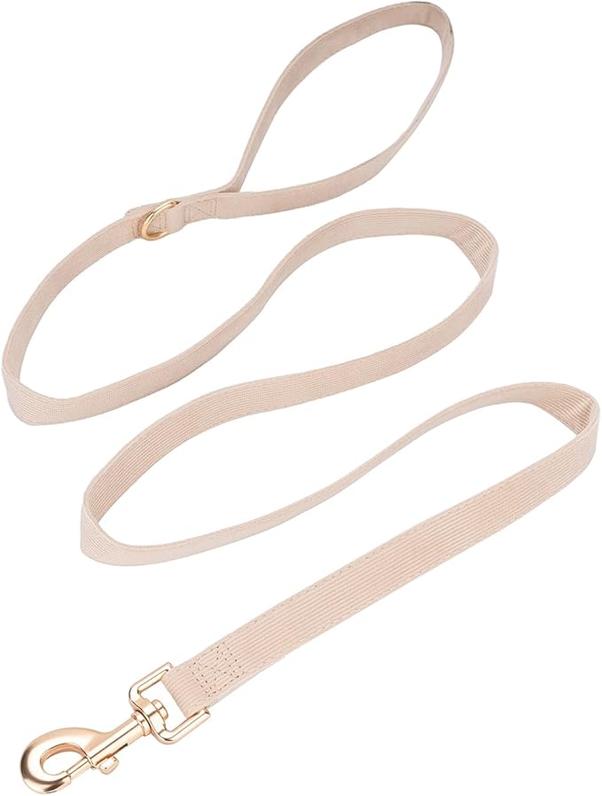 Soft Corduroy Dog Collar and Leash Set Adjustable Durable Wedding Dog Collars with Metal Buckle and Lead for Small Dogs,Beige