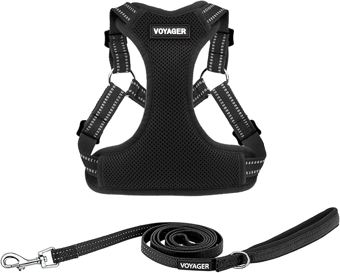 Best Pet Supplies Voyager Mesh Dog Breathable Harness Reflective Stitching, All Weather Adjustable for Walking Training, or Running - Heavy Duty & Durable, Harness Leash Set (Black), L