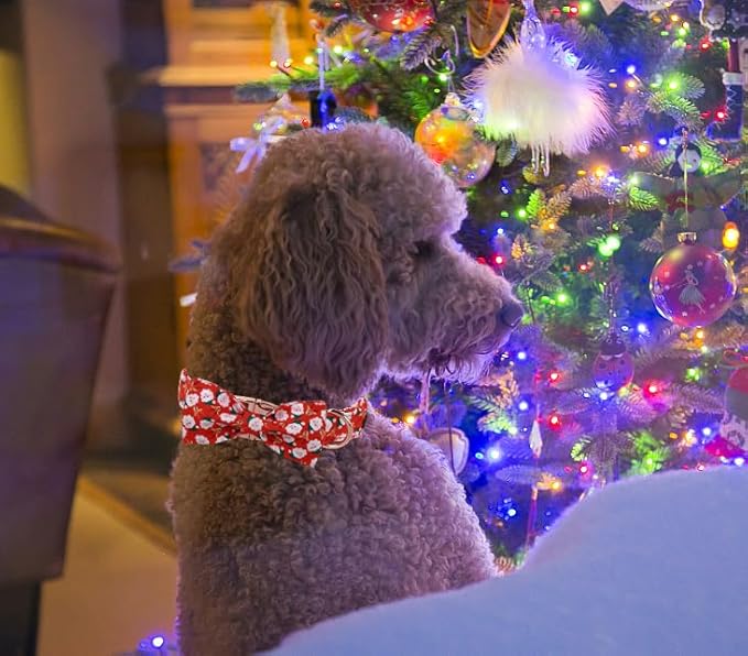 Unique Style Paws Christmas Day Dog Collar with Bow Christmas Tree Cotton Puppy Collars for Small Medium Large Dogs
