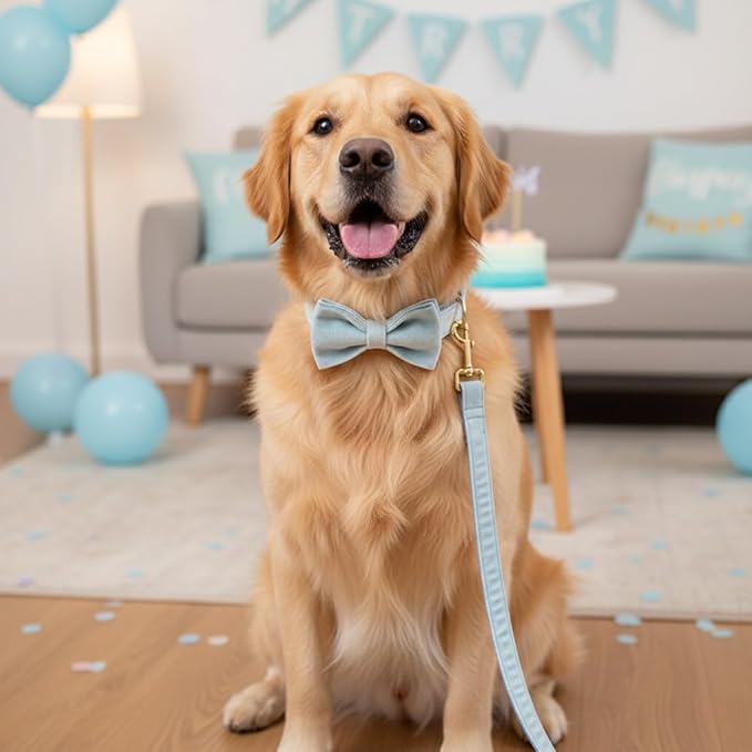 PETDURO Personalized Dog Collar Sky Blue Soft Velvet for Large Medium Small Boy Girl Dogs - Custom Collar with Name Phone Number Engraved on Gold Metal Buckle - Add Leash Bow Set via Customize Now