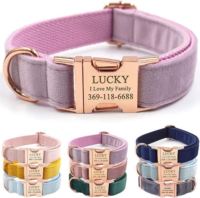 PETDURO Custom Dog Collar Personalized with Name Engraved Quick Release Rose Gold Metal Buckle for Large Medium Small Girl Dogs - Dog Leash and Bow Tie Available - Soft Comfy Velvet (Purple, S)