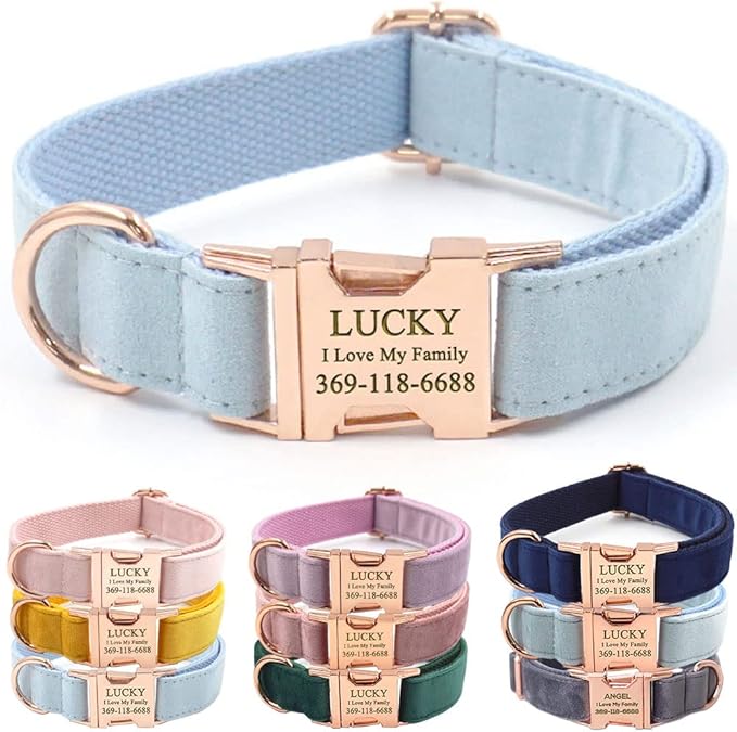 PETDURO Custom Dog Collar Personalized with Name Engraved Quick Release Rose Gold Metal Buckle for Large Medium Small Girl Dogs - Dog Leash and Bow Tie Available - Soft Comfy Velvet (Light Blue, XS)