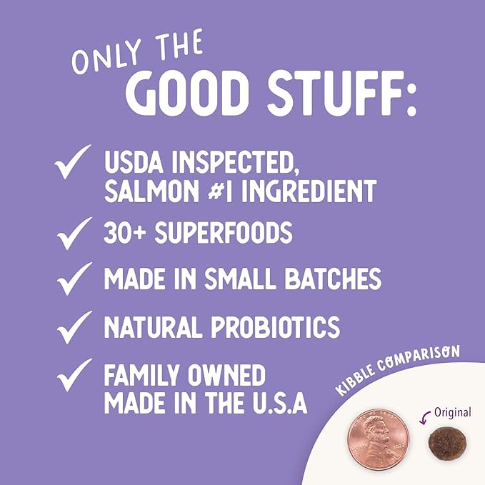 Health Extension Grain Free Salmon & Sweet Potato Dry Dog Food - 30+ Superfoods and Probiotics for All Life Stages (4lb)