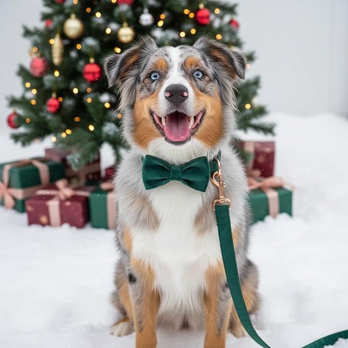 PETDURO Custom Dog Collar Personalized with Name Engraved Gold Metal Buckle for Large Medium Small Dogs - Soft Cute Velvet Dog Leash and Bow Tie Available (Christmas Green RG, XS)
