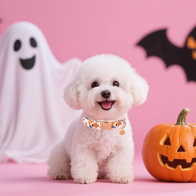 Halloween Dog Collar with Metal Buckle Gift Pumpkin Dog Collar for Small Medium Large Girls or Boys Dogs Cute Durable Comfortable Pet Collars