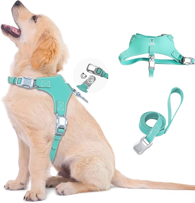 Magnetic Quick-Release Buckle Dog Harness and Leash Set, Easy Walk Faux Leather Puppy Harness and Leash, Easy On & Off Dog Vest for Small, Medium, Large Girl Boy Dogs for Training, Teal,L