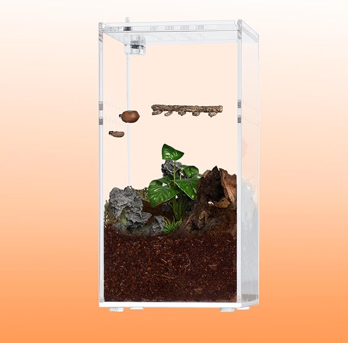 Oiibo Jumping Spider Hideout and Feeding Dish, 3 in 1 Nut Shaped Hide Cave Sets for Spider Playing Feeding Climbing, Enclosure Accessories