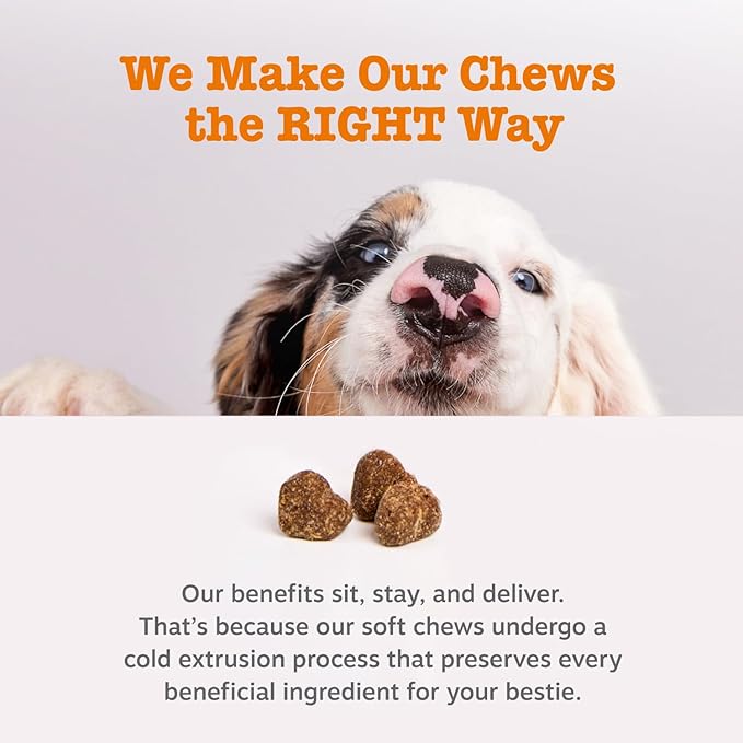 Zesty Paws Dog Allergy Relief Chews, Dog Probiotics for Itchy Skin and Ears, Lamb, Mini, 90ct