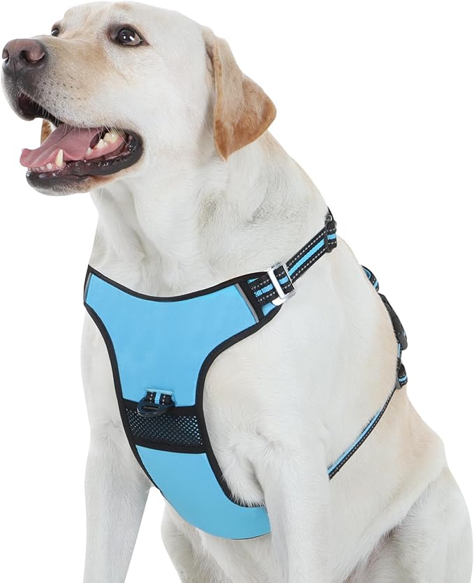 No Pull Dog Harness with 3 Snap Buckles,No Choke Front Lead pet Harness Reflective and Adjustable Soft Padded Vest for Small Medium Large Dog (Blue, Large)