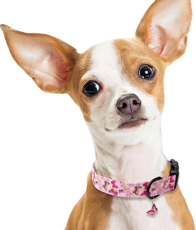 Faygarsle Dog Collar for Small Medium Large Dogs Cute Pink Puppy Collars for Female Dogs Butterfly Patterned Pet Collars for Summer Spring Wedding Puppy Necklace Girl Dog Collar L