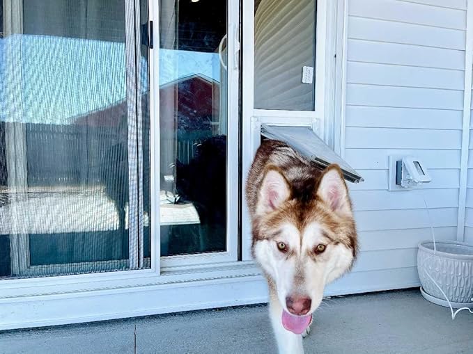 Endura Flap Pet Door for Vinyl Sliding Glass Doors | Dual-Flap Extreme Weather Design | Insulated, Energy-Efficient Dog Door with Locking Security | White, Small Flap, 74.75"-77.75" Slider Height