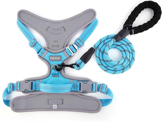 Dog Harness and Leash Set – Adjustable Dog Collar and Vest Harness for Dogs, Durable Pechera para Perros Medianos – Arnes Perro with Leash– S, M, L, XL Dog Harness and Leash Set