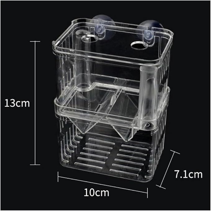 Acrylic Fish Breeding Box for Betta & Peacock Fish - Isolation Tank for Spawning, Hatching & Fry Care(Incubation Box S)