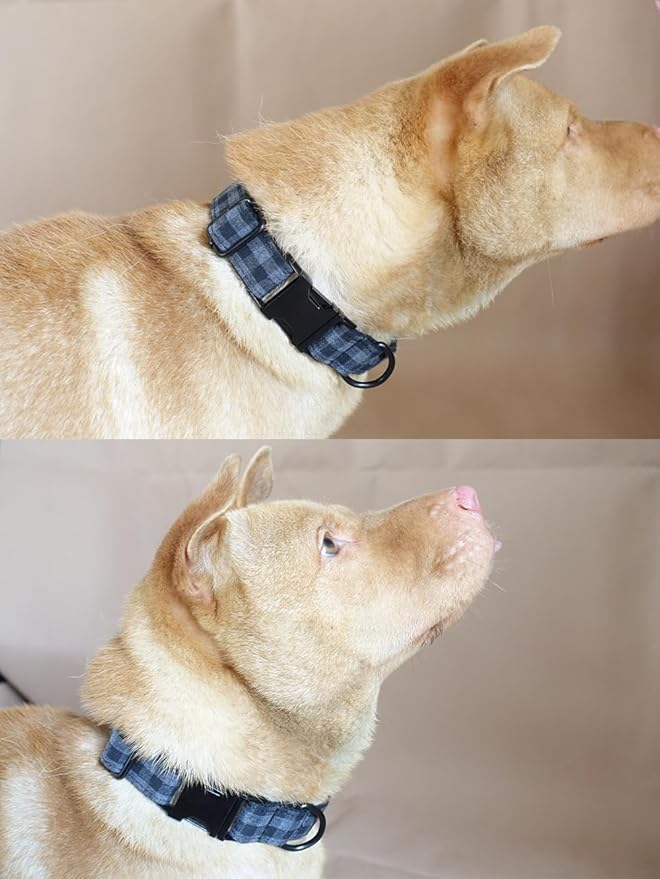 PETDURO Personalized Checkered Plaid Dog Collar Black - Engraved Name and Phone Number on Black Metal Buckle - Custom for Small Medium Large Boy Girl Dogs - Add Leash Bow Tie via Customize Now