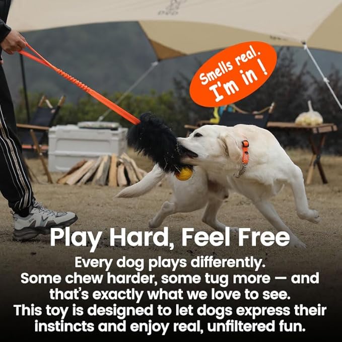 HOWGO Dog Rope,Dog Bungee Chaser 100% Sheepskin,Sheep Smell Tug for All Breeds(Green, Long Without Ball 2Pack)