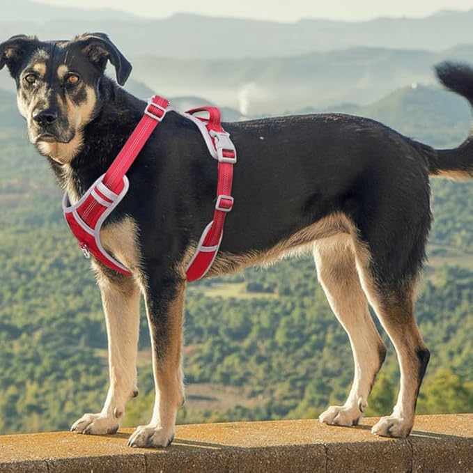 Adjustable Dog Harness - No Pull, Reflective, Soft Padded for Small, Medium, Large Dogs - Includes Leash Red XL