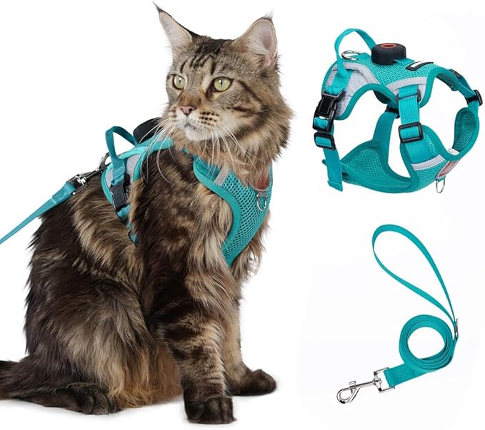 Cat Harness and Leash Set with AirTag Holder: Upgraded Escape Proof Vest with Lead for Small Dog Puppy Large Cat Walking，Soft Breathable Mesh Coat with Reflective Strip (Green, XL)