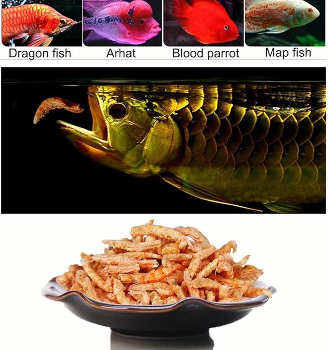 2000ml Fish Food Aquarium Pond Fish Food Arowana Food Floating Shrimp Freeze Dried Krill Carnivore Koi Tropical Cichlid Turtle (2000ml)