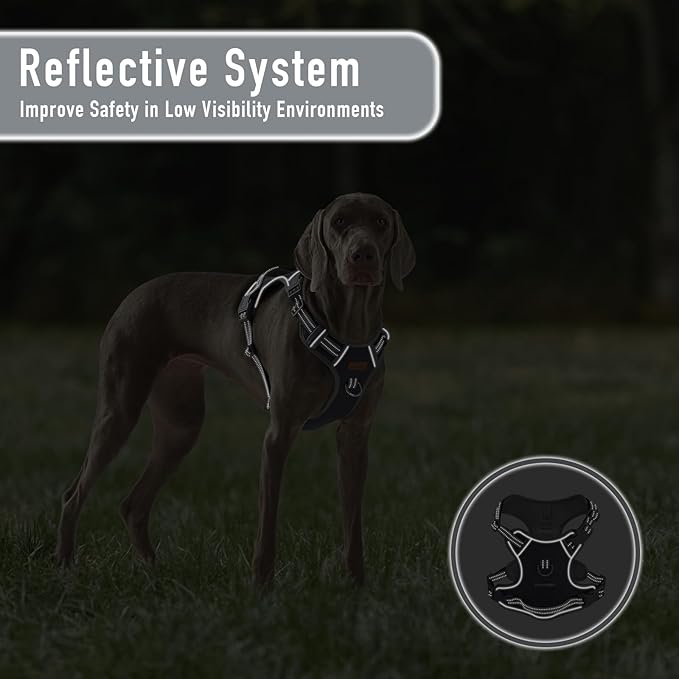 No-Pull Adjustable Dog Harness for Small Dogs,Easy Control with Handle, Havanese Chihuahua Puggle, Inescapable, Ez Walking, Safe Reflective Strips, No Rub,No Choke, Gray, S