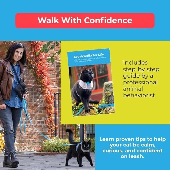 CAT SCHOOL Cat Harness and Leash Set for Outdoor Walks, Training, and Travel, Secure, Soft, Comfortable Cat Vest Harness with 10' Long Cat Leash, Easy to Use (Yellow, M/L)