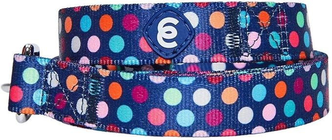 Blueberry Pet Valentine's Day Dog Leash, Velvety Soft-Touch Heart Flocking Lead for Medium Dogs, Rainbow Polka Dots, 5 ft x 3/4"