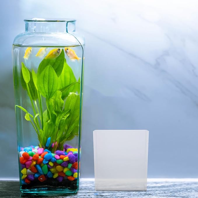 Kisangel Portable Transparent Fish Viewing Box 4.92X4.33X1.5In Lightweight Betta Fish Breeding Container for Aquarium Desktop Observation