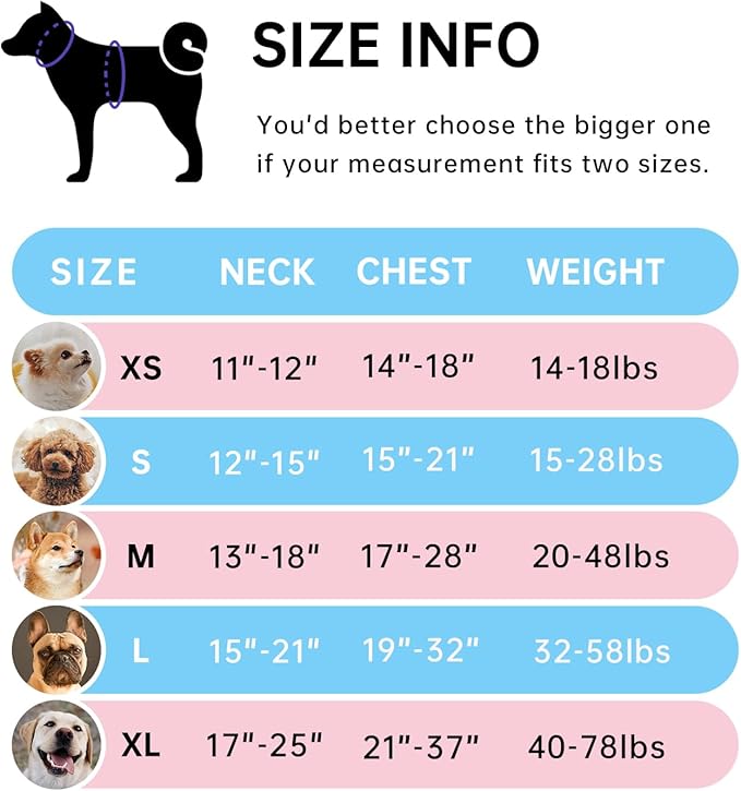 IVY&LANE No Pull Dog Harness for Large Dogs, Dog Vest Harness with Leash, Safety Belt and Storage Strap, Fully Adjustable Harness, 360° Reflective Strip, Soft Handle (Blue,XL)