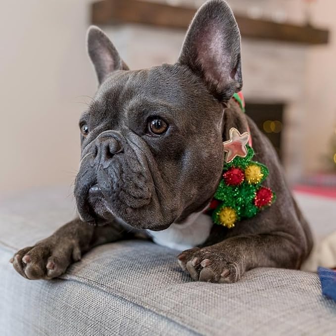 Blueberry Pet Festive Christmas Polka Dots Dog Collar with Bow, Medium Size, Adjustable 14.5"-20" Holiday Collar for Medium Dogs