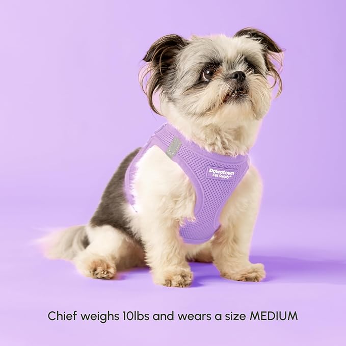 Downtown Pet Supply Step in Dog Harness for Large Dogs - Adjustable, Escape Proof Dog Harness with Reflective Trim - All-Weather, Fast-Drying Padded Mesh Fabric - Lilac, L