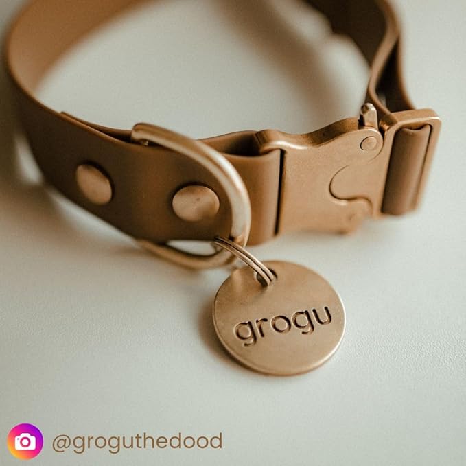 Solid Brass PET TAG - Modern, Minimal Pet IDs. Durable, Lifetime Tags with deep Cut Text. Includes Space for Two Phone Numbers. (Heart)