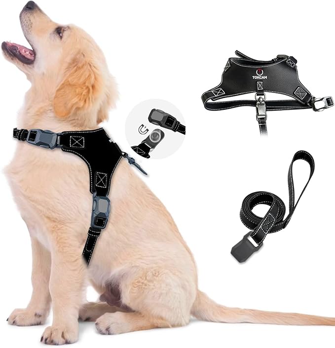 Magnetic Quick-Release Buckle Dog Harness and Leash Set, Easy Walk Faux Leather Puppy Harness and Leash, Easy On & Off Dog Vest for Small, Medium, Large Girl Boy Dogs for Training, Black,S