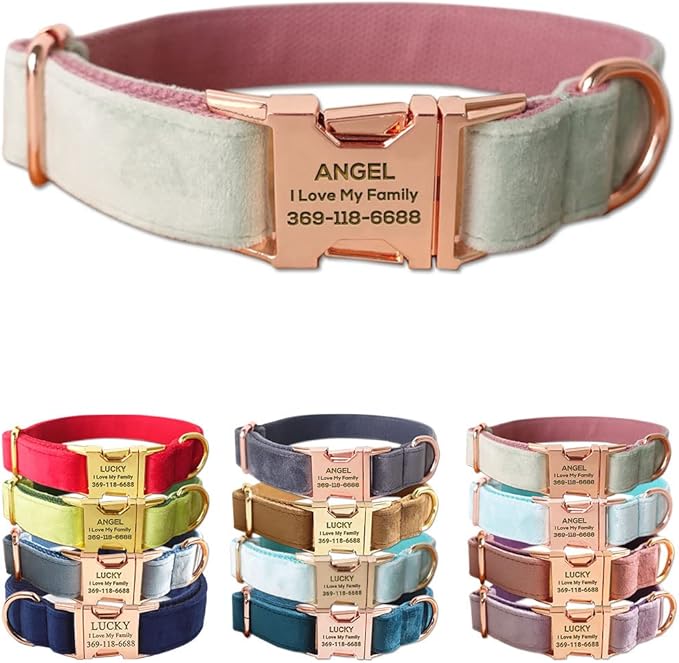 PETDURO Custom Dog Collar Personalized with Name Engraved Quick Release Rose Gold Metal Buckle for Large Medium Small Girl Dogs - Dog Leash and Bow Tie Available - Soft Comfy Velvet (Mint Pink, M)