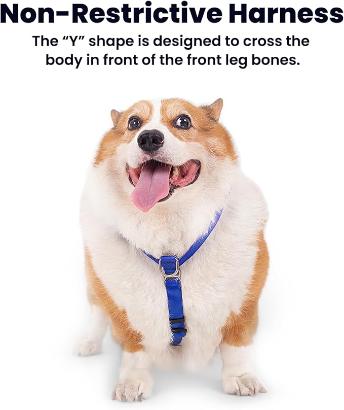 Non Restrictive Dog Harness, Easy Walk Freedom No Pull Harness, Keep Balance, Lightweight, Neck Buckle, 2 Clips for Back and Front Clip, Sewn-in Instructions Labels for Easy Use (Blue, Small)
