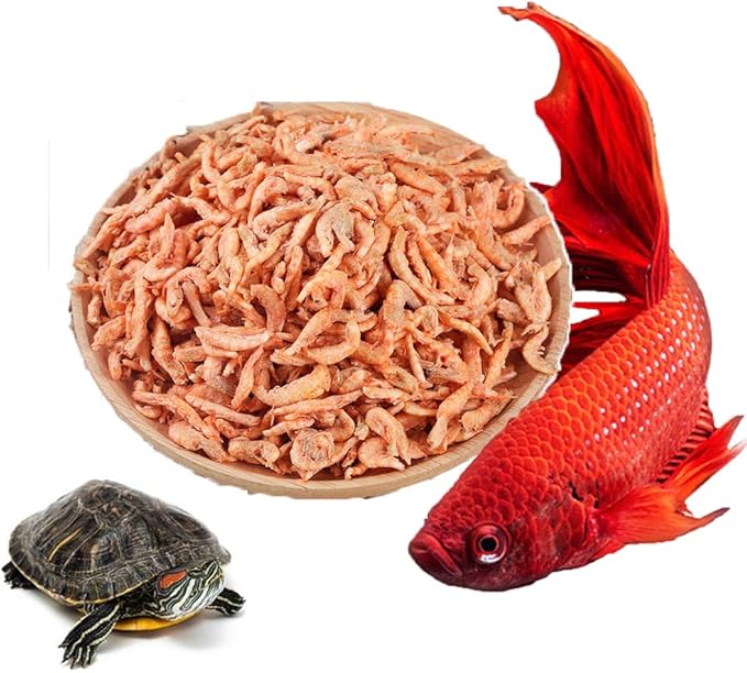 1000ml Fish Food Aquarium Pond Fish Food Arowana Food Floating Shrimp Freeze Dried Krill Carnivore Koi Tropical Cichlid Turtle (1000ml)