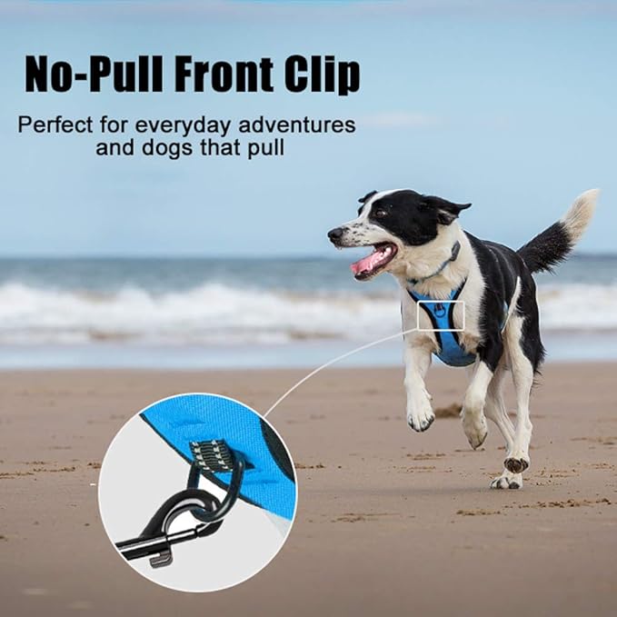 PoyPet No Pull Dog Harness, Reflective Comfortable Vest Harness with Front & Back 2 Leash Attachments and Easy Control Handle Adjustable Soft Padded Pet Vest for Small to Large Dogs (Blue,S)