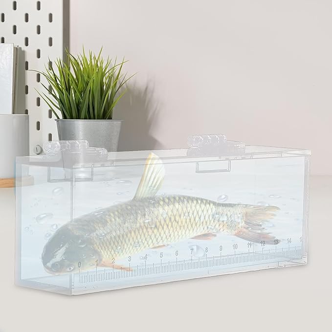 Gazechimp Fishing Photo Tank Fish Viewing Box Acrylic Hatching Incubator Clear Micro Landscape Fish Tank Fish Breeder Isolation Breeder Box with Scale, L