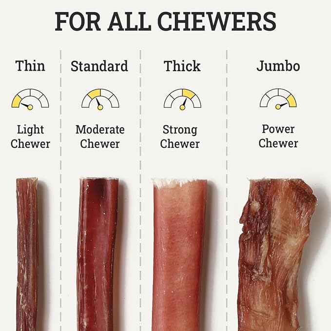 Supreme 12-inch Thick Bully Sticks by Sancho and Lola’s (5 Pack) All-Natural, Long-Lasting Dog Chew Treats - Free-Range, Grass-Fed Beef - Low Odor
