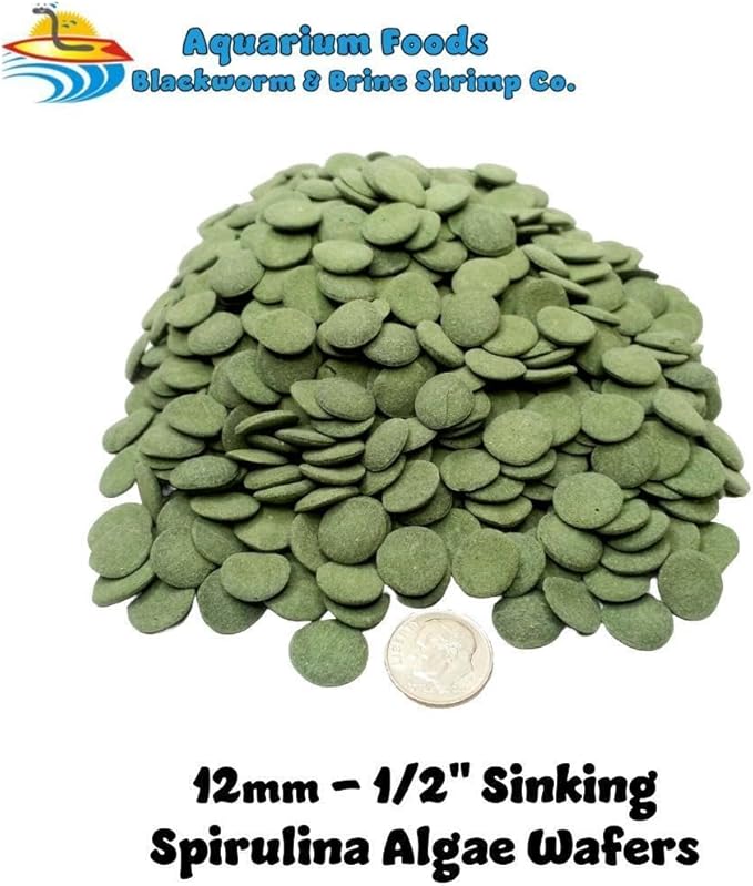 Aquatic Foods Inc. 12mm - 1/2" Small Sinking Spirulina, Veggie and Algae Wafers for Bottom Tropical Fish, Shrimp, Snails, Crabs, Plecos, Catfish, All Tropical Fish…6oz Sm Round Jar