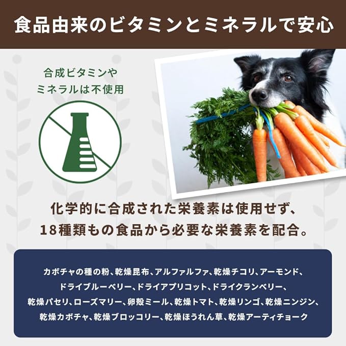 Nature's Logic Dry Dog Food - 100% Natural - No Synthetics - For All Ages, Sizes, Breeds - Free From Common Allergens, High Protein - Chicken Meal Feast, 4.4lbs