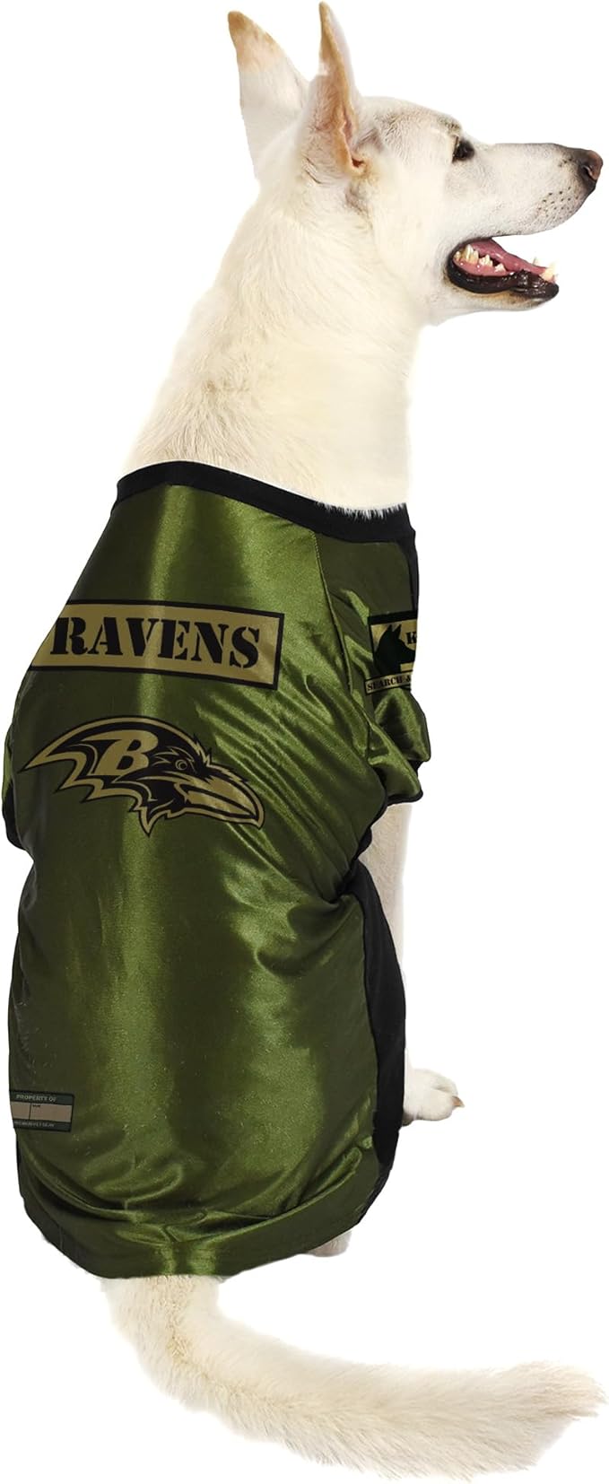 Littlearth NFL Valor Pet Stretch Jersey