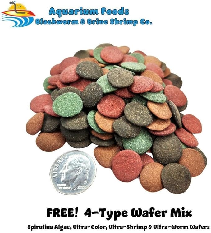 Aquatic Foods Inc. Pacific Plankton - Freeze-Dried Plankton for Discus, Cichlids, Koi & Pond Fish, All Community Tropical Fish, All Marine Saltwater Fish, Corals, Sea Anemones…2oz Med Round Jar